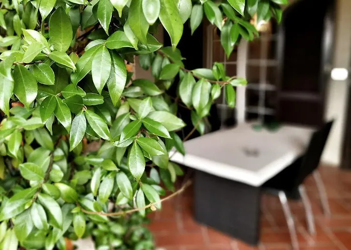 Guest house Da Piero E Paola Arezzo