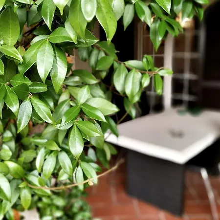 Guest house Da Piero E Paola Arezzo