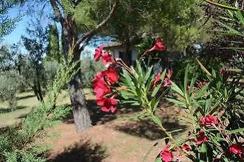 Da Piero E Paola Guest house Arezzo